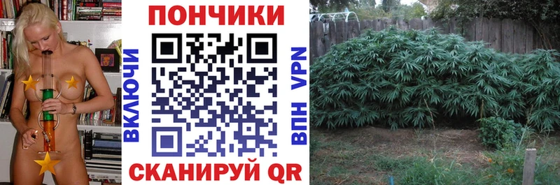 Купить закладку Орск hydra зеркало  ГАШ  АМФ  Марихуана  APVP 