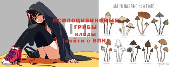 кокаин колумбия Пересвет