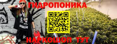 стафф Дубна
