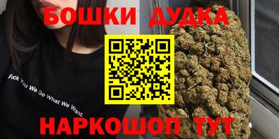 стафф Дубна
