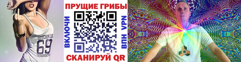 кракен   Орск  Галлюциногенные грибы MAGIC MUSHROOMS  наркота 